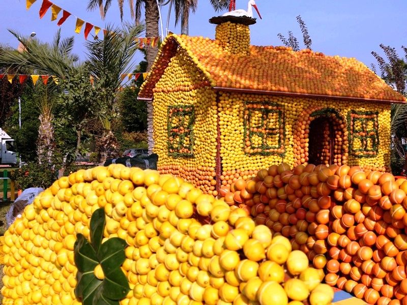İlgili resim