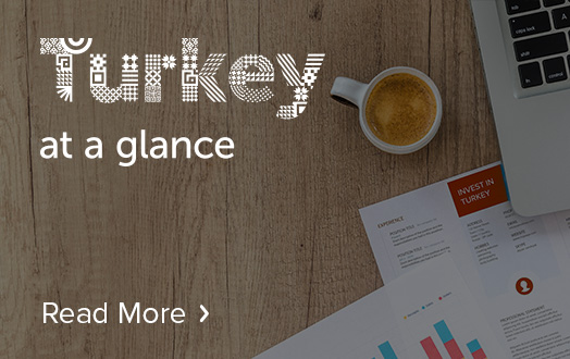 Turkey at a Glance